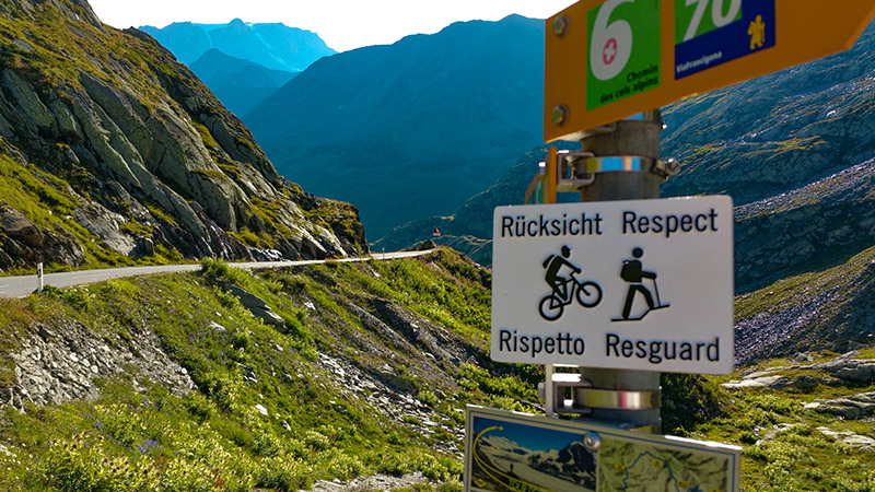 plaque cycliste